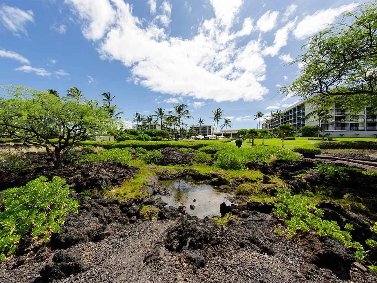 Marriott'S Waikoloa Ocean Club 2Br Apartment With Resort Access 0*,